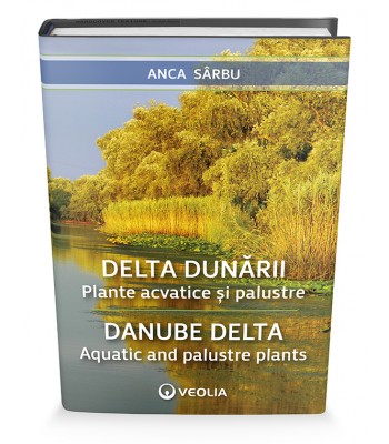 Delta Dunării - Plante acvatice si palustre